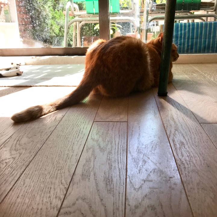 1965dce4 cc48 4e8c 8099 62085be5b2b3 1509363621584