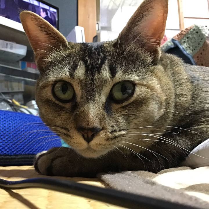 19660c26 8659 48b7 a1e7 8cc475aa9988 1585553162527