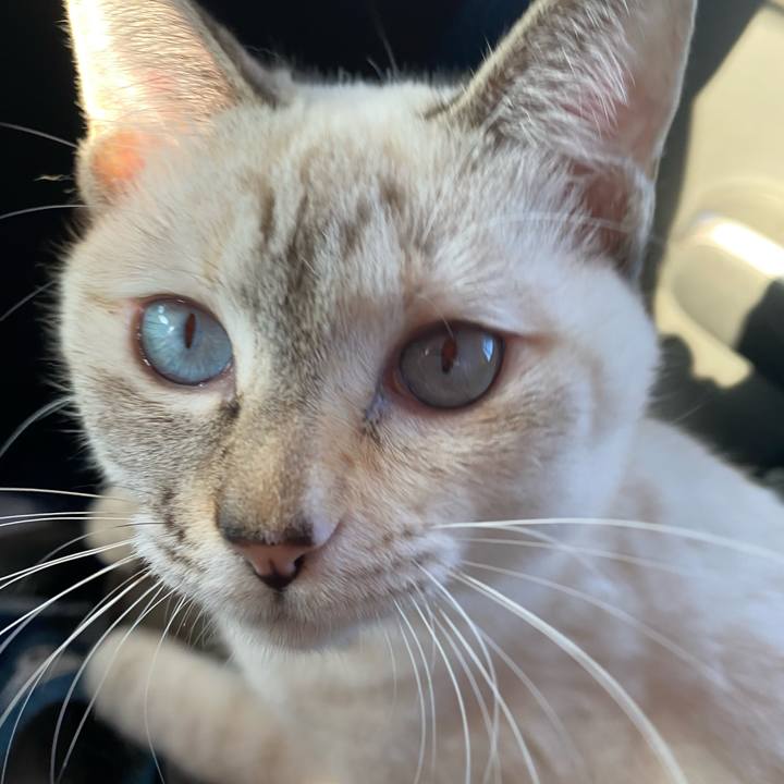 19661745 774e 4e46 be6e 98d292e6fd18 1641298813784