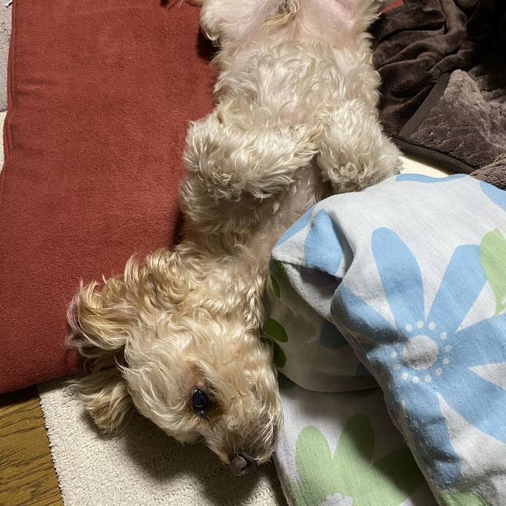 19661823 2e58 47c5 8d70 1f607b22ef0d 1672660123865