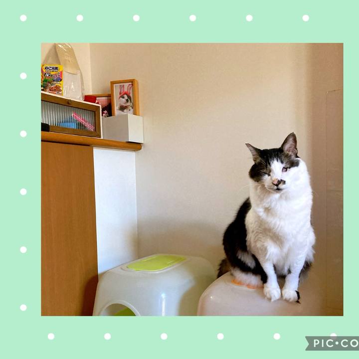 196666c2 a6b1 4f9c a0a0 7ede1a67abae 1713244758442