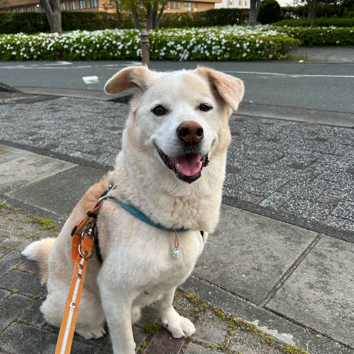 196668b8 e620 4fe1 8129 43fd66083350 1745155751178