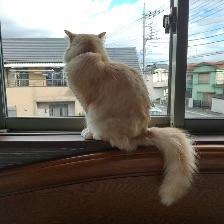 196677b8 8500 4b6d bb0b 1dafd5f3dafc 1637632241236