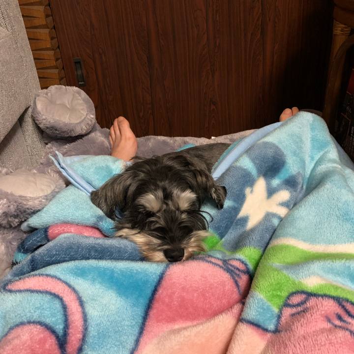 1966a4c1 7e97 40c1 bbfd c8033958f7a3 1573041580625