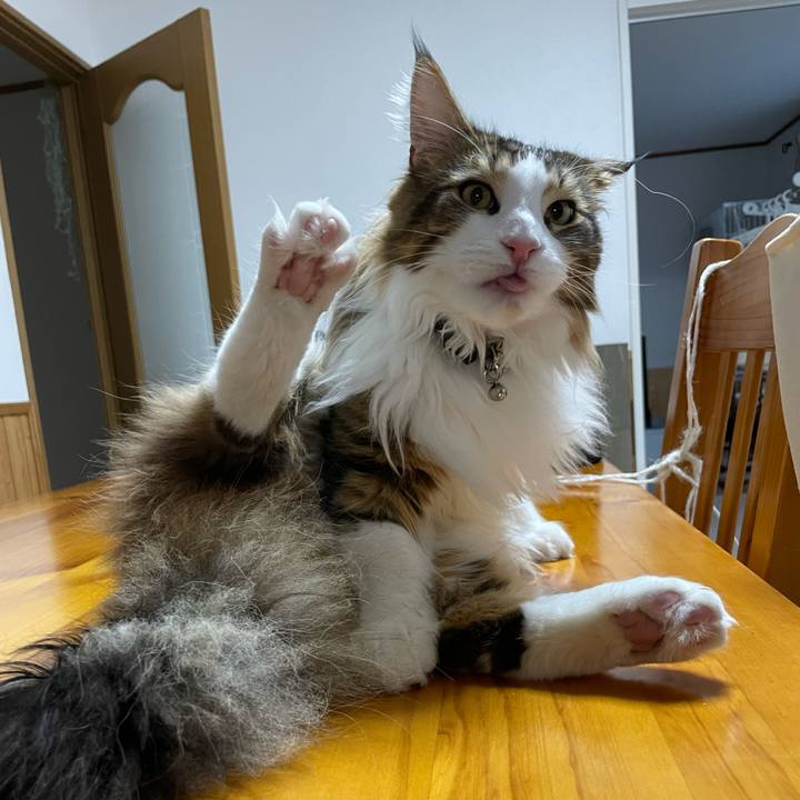 1966aecb 2660 4ef7 a3a7 ee342c8d3e13 1648458829432