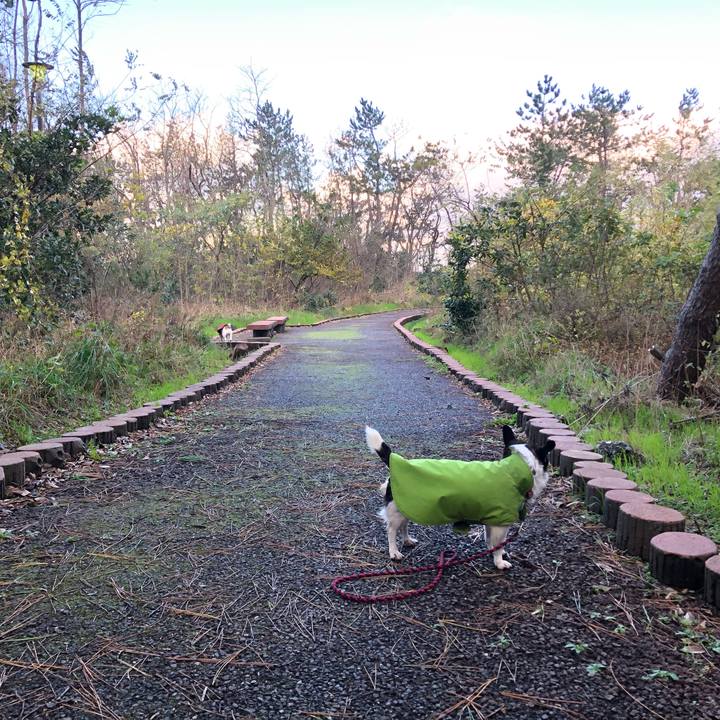 1966c03c e858 45a8 a3a3 f0eee237a0af 1574207975624