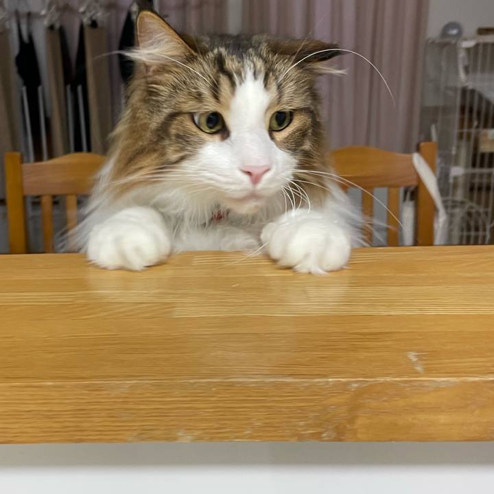 1966fdbe 6277 4311 81dd 3a59f0376dbf 1691351280997