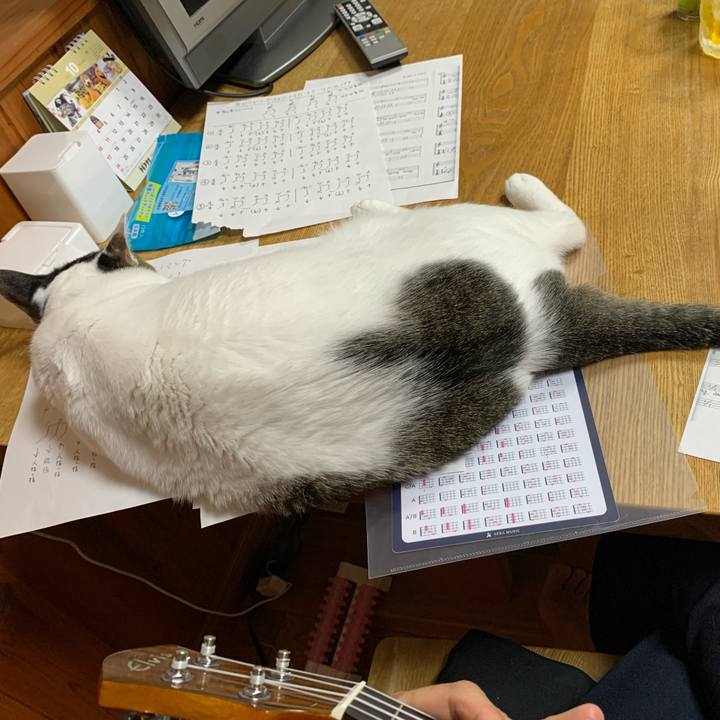 19670492 daaf 4d44 a12e 4b3f6dc13429 1633004940306