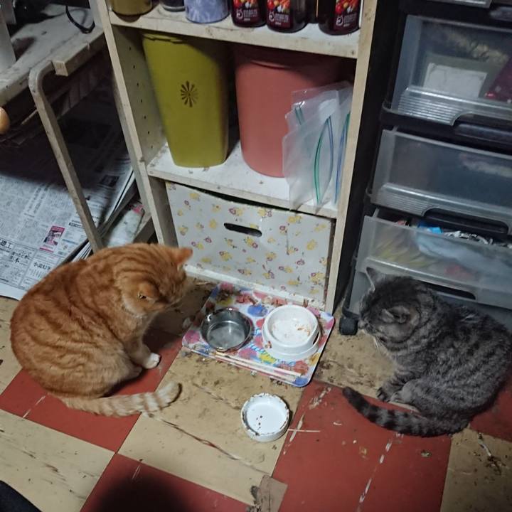 19677095 bd51 4651 8b2e cf7f9819fc46 1580846387577