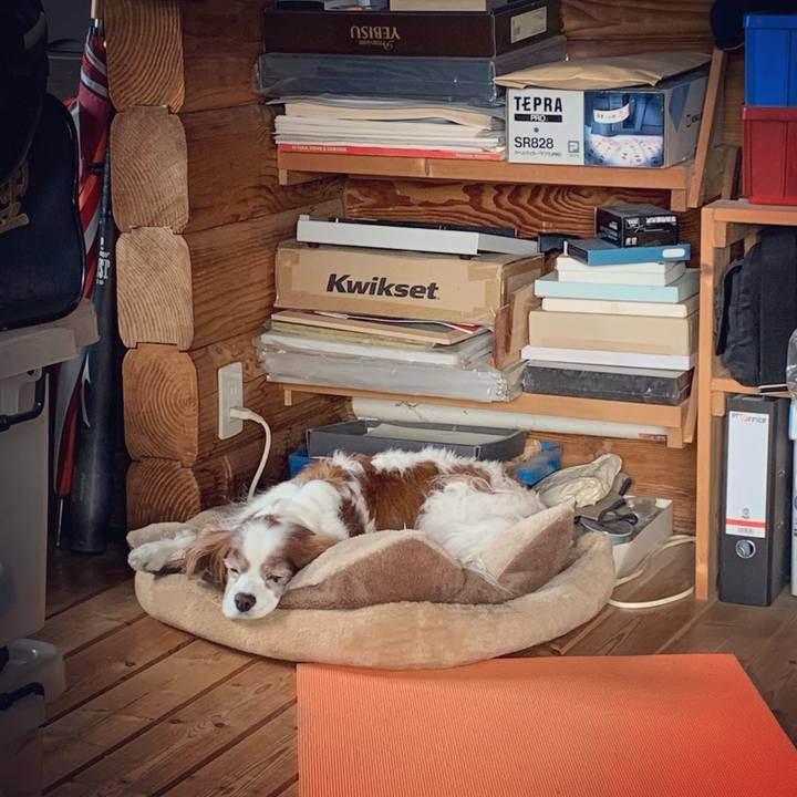 196794cc 9bfb 419a b53b 266a0966d6bc 1621117974172