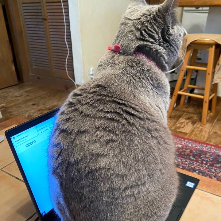 1967a0db 3be3 499d af19 3b9e745383f1 1589628775196