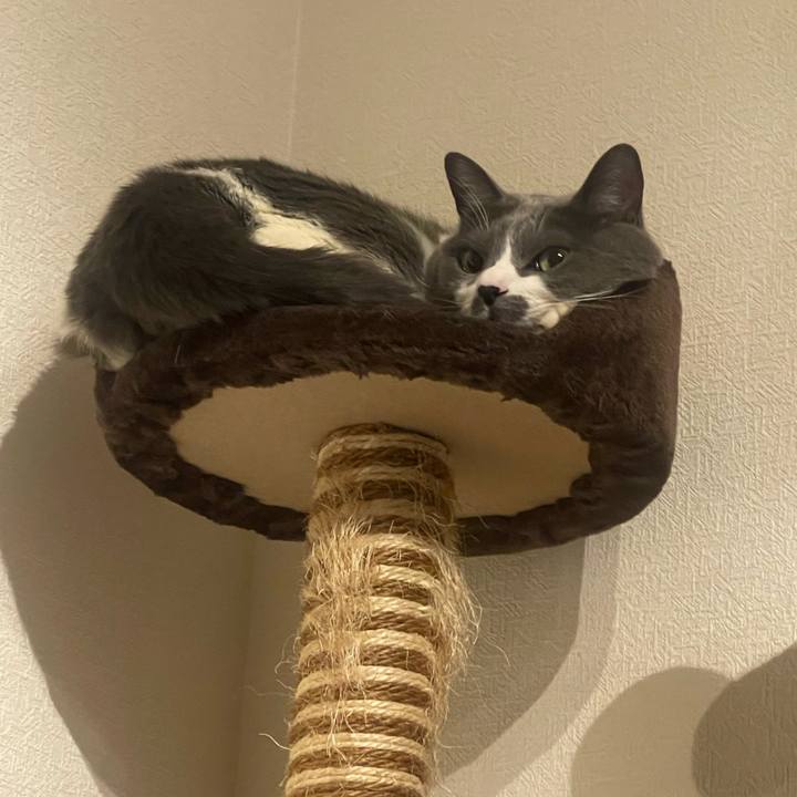 1967dc4c 5bac 42ca a4df ad02a404fd47 1738171405889