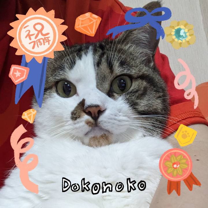 1967ddff 0f3c 47f8 a609 136d0d2ff1e5 1685961850764