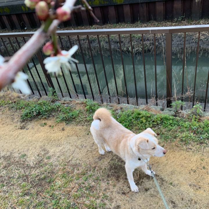 1967dec0 5070 4d0e 8d07 9b64714df88a 1550639538349