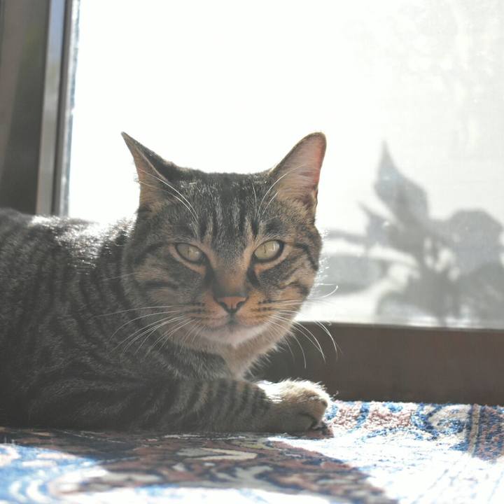 1967ec48 6df8 4ebb b655 c4dca78c272e 1510711915860