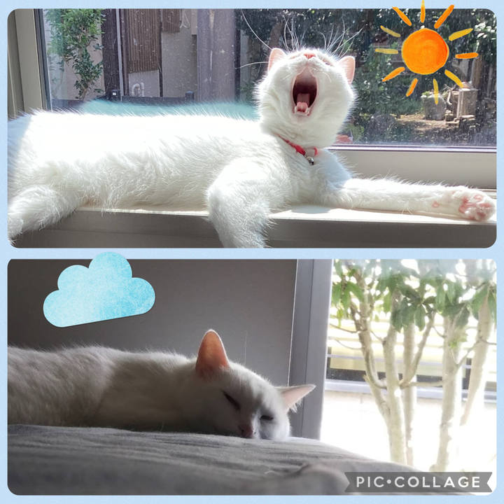 1968096e a11d 4e83 95ec 8e1d529101e7 1751959232674