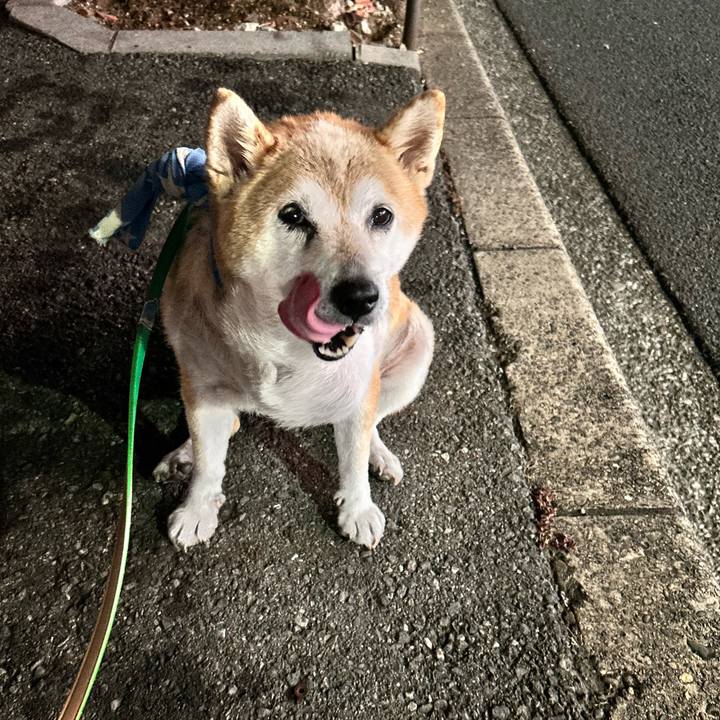 196813ca 9006 4ef9 adcb 46acd187c3fd 1756464355731