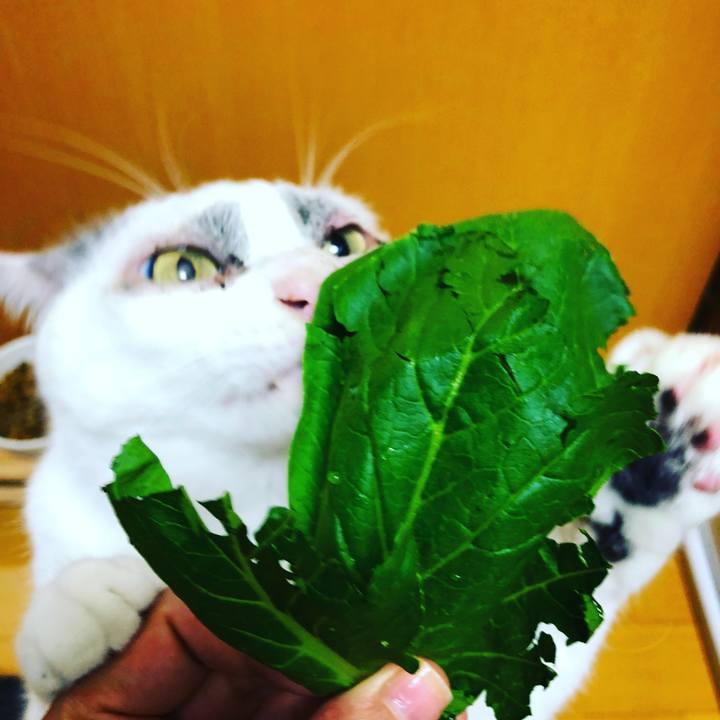 196815b1 047d 4a0b 9ff6 002b294c8633 1536022407364