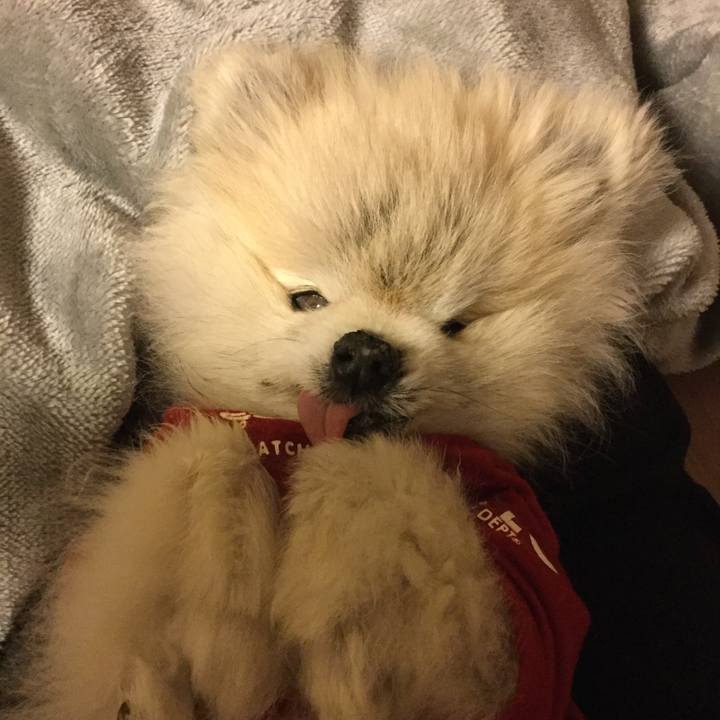 19682854 f9cf 4020 a0ca d8cd2fcb9d26 1592131728262