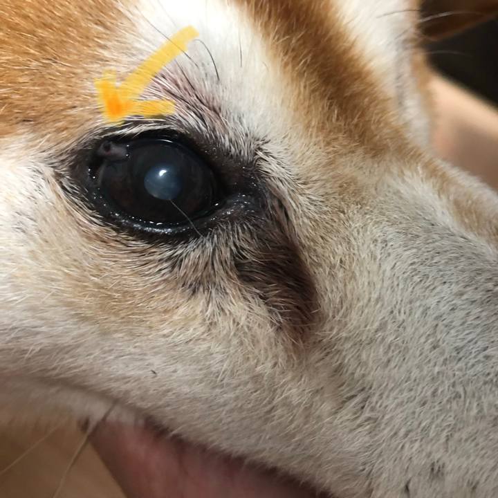 19684759 46ce 4d26 b7ab fdffda748345 1567502771046