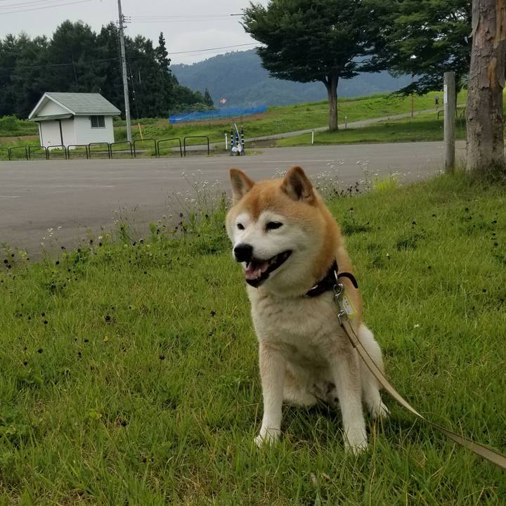 19685f51 0078 46c5 8bdb 993ab110314f 1658132363898