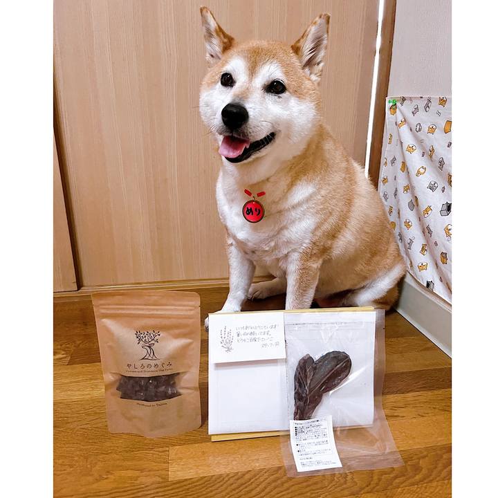 19687c60 a3ae 4091 9965 d6dea08ca204 1721695420841