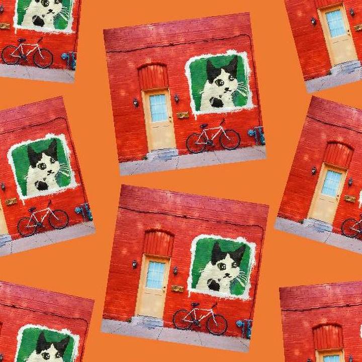 19689824 3d55 4cfd 91cc 03562eac2eb1 1519514390450