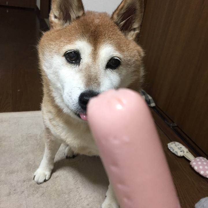 1968a729 7bb6 45ad 8c06 4c353a3b3f6c 1536275141952