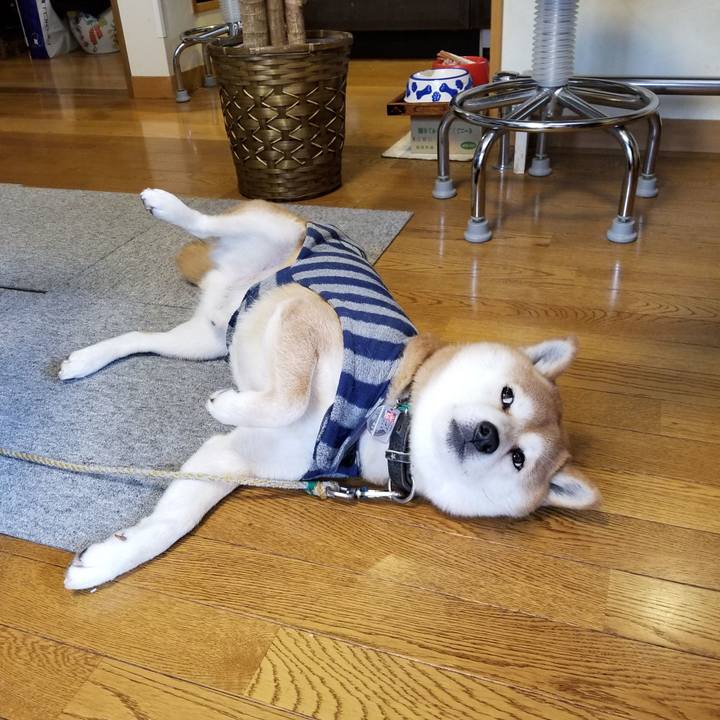 1968ef3b 74f1 401f bfd6 ee1eab030845 1620563041662