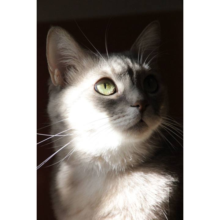 1968ffce 0481 40fc 907b ff65b7ea2b27 1613896353151