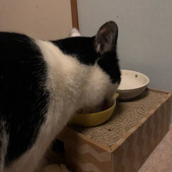 19690aea 900d 4031 ad37 d6e88e5c4cd4 1553615686139