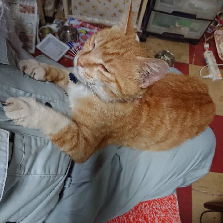 19691dc5 5c4b 457d a44c cbcbaaa98a54 1559771479207