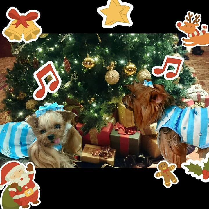 1969208a abf3 4004 9341 a8d26c87a607 1513425423781