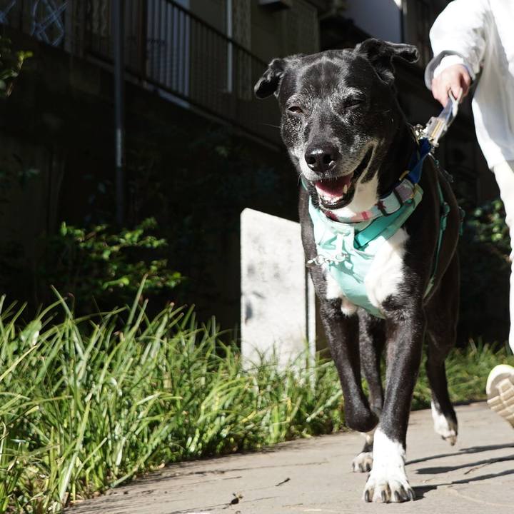 1969294f dae9 421f b166 84b8b8d374b9 1774316741498