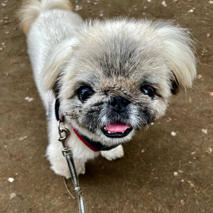 19695ef0 8daa 4540 80c0 f5418ddee2db 1775525873041