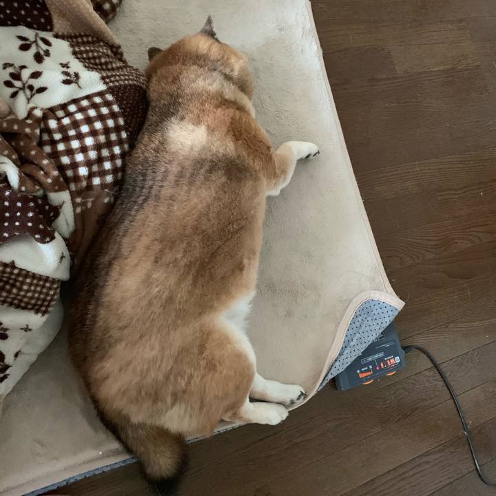 19696228 9b7e 4157 9909 7cce6e90ad28 1577601418115