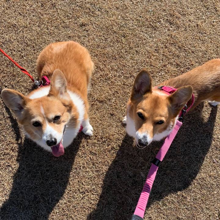 19697baa c76a 4558 b73b f92e8935db64 1703479143857