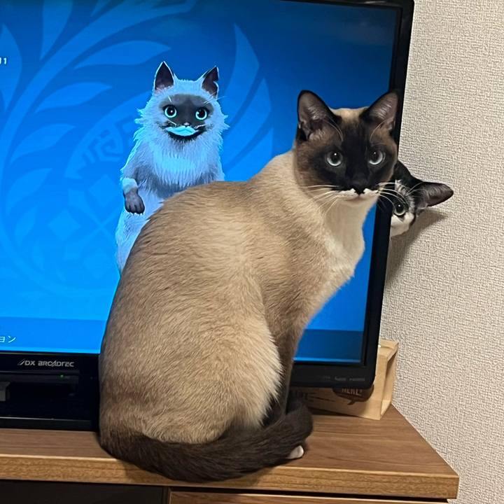 1969818c 6703 4aa7 b6c0 d4a25decda10 1749949141540