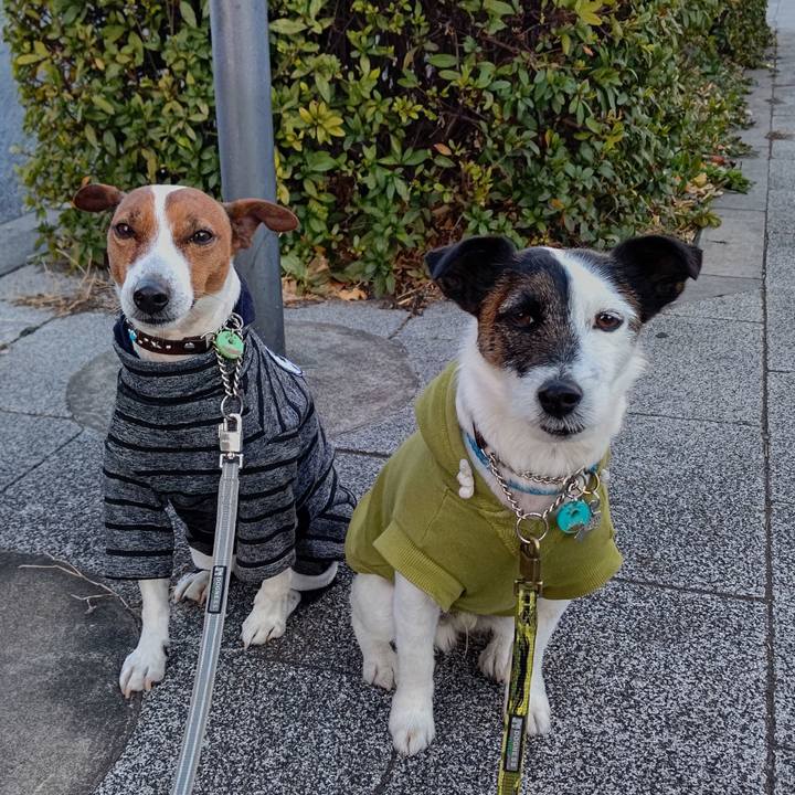 1969b348 6266 4f0b 93a2 c1c9aae578a9 1675033160390