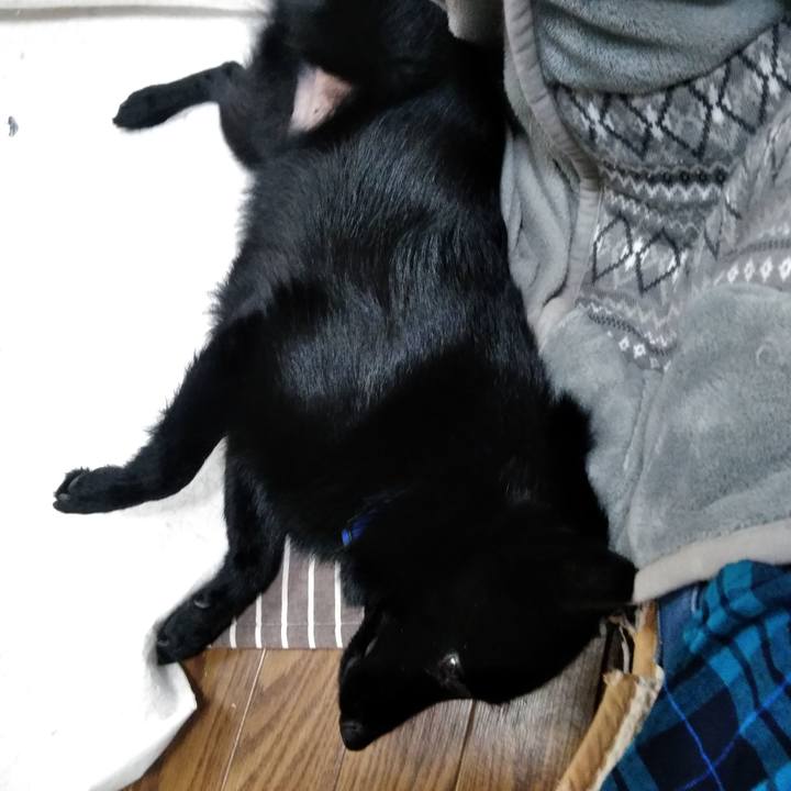 1969ebfd 7bd6 43b8 9197 90ff9c5011d1 1581404377541