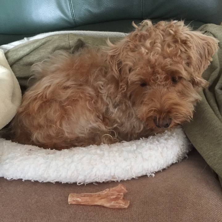 1969f5dc cfc9 4adc 937c 3a4c65390df0 1520723580769