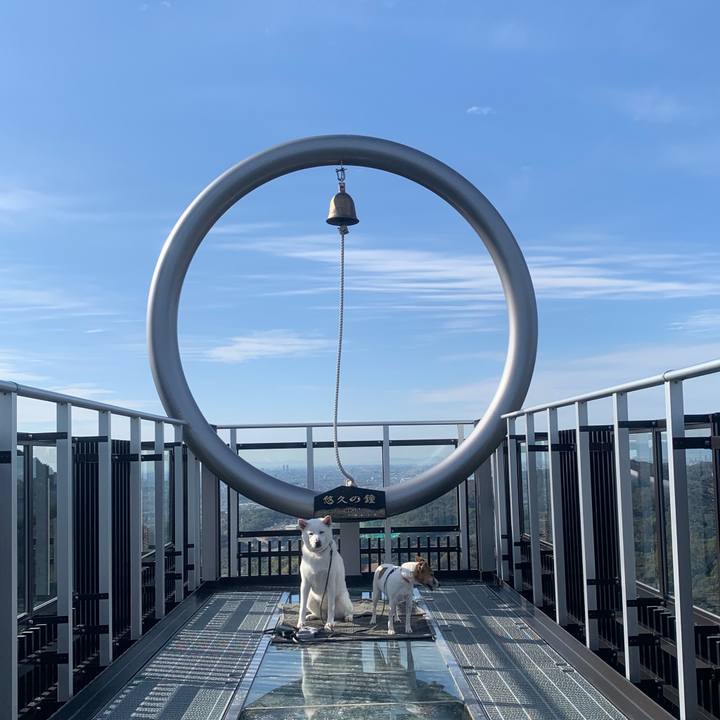 196a1908 de7e 4fb8 8bb8 77229fb536d5 1542542682780