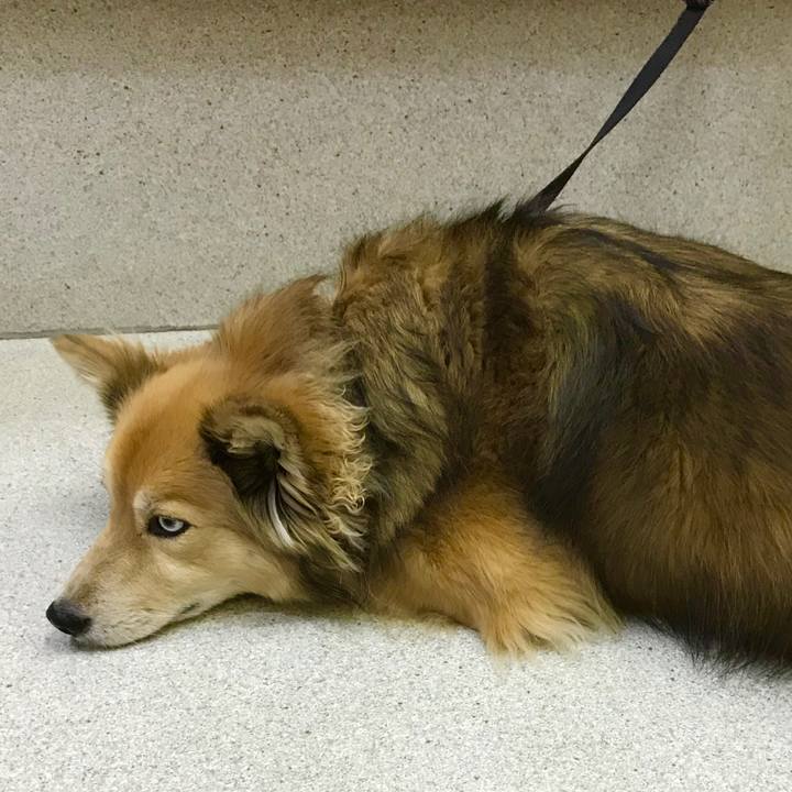 196a1acd 22bc 45ce 8392 5a37ea350439 1521557888040