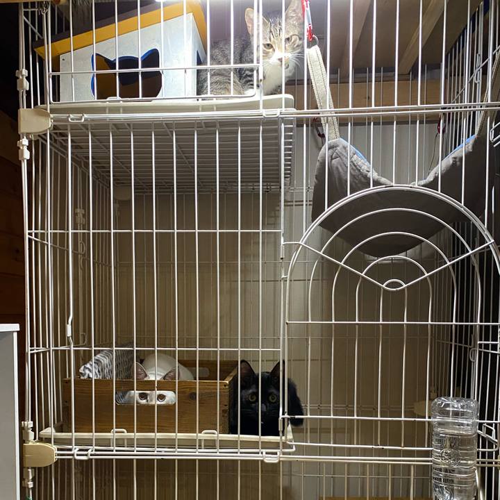 196a2289 929a 4d8c 8033 647df5e9f29c 1631092591777