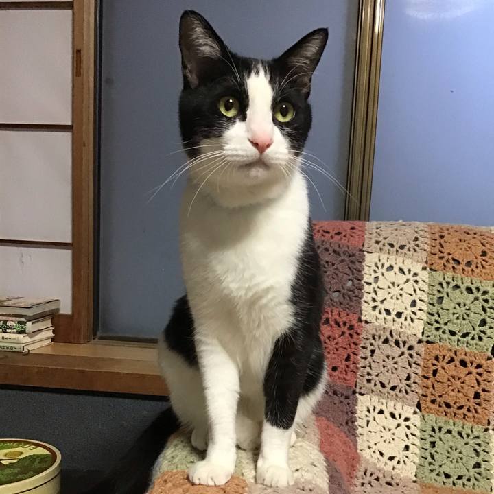 196a2c3f d443 4856 ac79 f0d6b39ff643 1713576306866