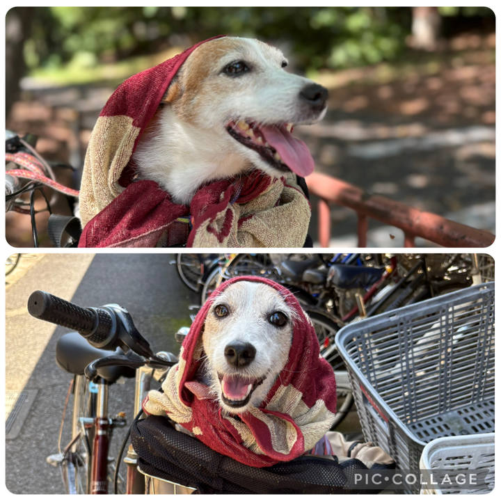 196a4329 f771 43d4 801c 34d905de3ee9 1757287425904