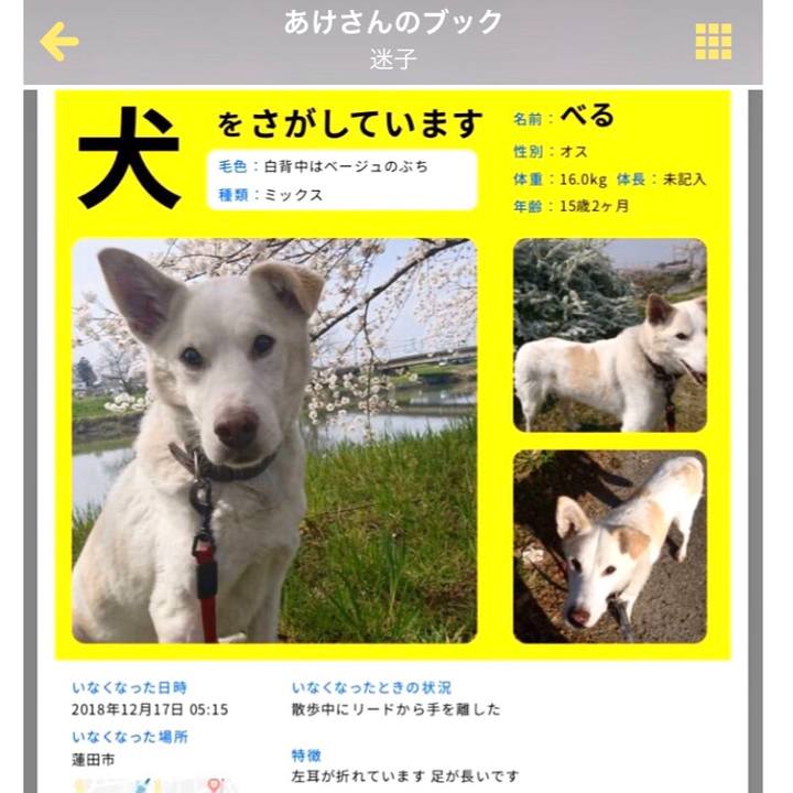 196a4589 a14a 4e2a 85fe 9a880f248d93 1570336997182