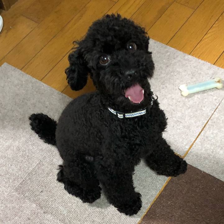 196a6a44 bc79 4adc 972a 4064b25e5006 1533855034116