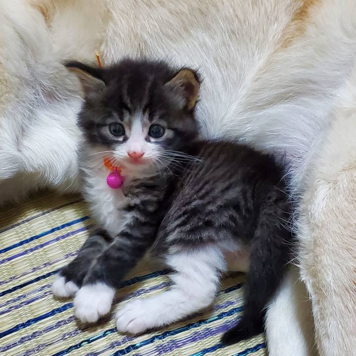 196a6a77 1dd2 4ab2 9c74 7a881fd94069 1623976599676