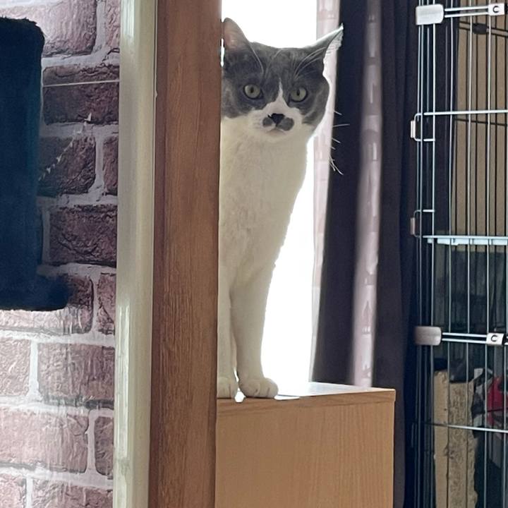 196a6a9f 9567 47f5 b481 6022595249cb 1662434021949